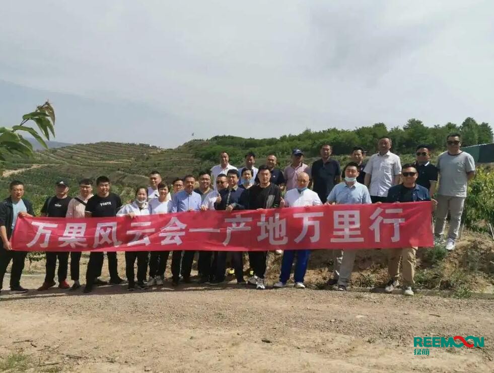 綠萌自動化櫻桃分選設(shè)備亮相甘肅天水引起各界廣泛關(guān)注 5月29日，綠萌櫻桃自動化分揀生產(chǎn)線在甘
