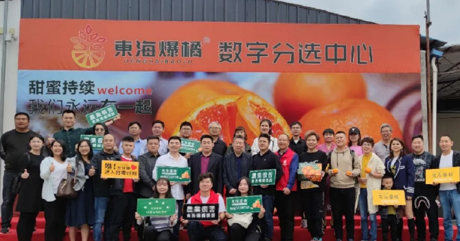 東海爆橘建立綠萌數(shù)字分選中心一陣果汁，細(xì)膩無渣，這橘子臉皮很薄，脾氣“爆”！每年秋冬季節(jié)，市場上各種各樣的橘子層出不窮，有些是黃澄澄的，有些是紅色的，讓人一看就喜歡，每年都買回來。貪心的時(shí)候找到一個，手里冰涼。我迫不及待地把它剝下來，迅速放進(jìn)嘴里。那一刻橙汁從我的喉嚨滑落，整個秋冬的干燥被