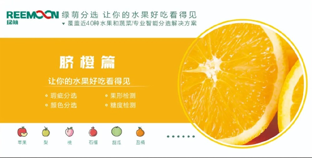 糖度可視化 好吃看得見(jiàn)【臍橙篇】來(lái)源：客家新聞網(wǎng)訊 記者何亮報(bào)道據(jù)悉，2019年，贛州市臍橙種植面積達(dá)到162萬(wàn)畝、產(chǎn)量122萬(wàn)噸，產(chǎn)值129億元。?20多年前，一批和新奇士品質(zhì)相近的贛南臍橙，用低于新奇士一半的價(jià)格出售，銷量卻并不見(jiàn)得比新奇士好。如今，贛南臍橙產(chǎn)值129億元，是什么讓贛南臍橙聲名鵲起？綠萌臍橙果表瑕疵