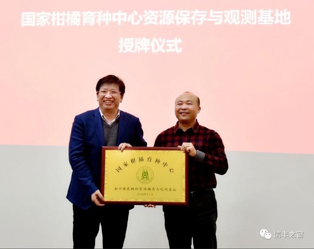 兩塊牌匾！我縣臍橙產(chǎn)業(yè)高質(zhì)量發(fā)展又上新臺階 11月30日，中國工程院副院長、民盟中央副主席、中國科學(xué)技術(shù)協(xié)會副主席、國家現(xiàn)代農(nóng)業(yè)柑橘產(chǎn)業(yè)技術(shù)體系首席科學(xué)家鄧秀新帶領(lǐng)調(diào)研組來到我縣調(diào)研，并出席華中農(nóng)業(yè)大學(xué)與江西綠萌科技控股有限公司簽約儀式、“綠萌果蔬生產(chǎn)智慧裝備研究院”和“國家柑橘育種中心南方特色柑橘資源保