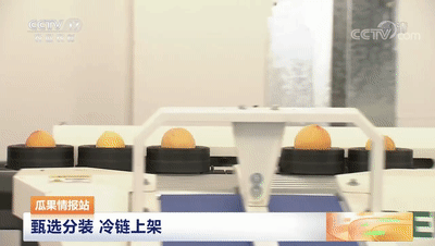 連線(xiàn)采訪(fǎng)＋現(xiàn)場(chǎng)直播7月20日CCTV農(nóng)業(yè)農(nóng)村頻道、央視頻APP深度報(bào)道湖北老河口黃桃產(chǎn)業(yè)發(fā)展情況綠萌作為果蔬智能科技分選企業(yè)憑借AI（人工智能）算法以及光譜技術(shù)為老河口黃桃產(chǎn)業(yè)賦能而亮相央視在此之前綠萌因?yàn)橹袊?guó)果蔬采后標(biāo)準(zhǔn)建設(shè)賦能已經(jīng)多次亮相于央視黃桃作為老河口的“富農(nóng)果”，身肩重任。全市3.5萬(wàn)畝黃桃如何打造價(jià)格