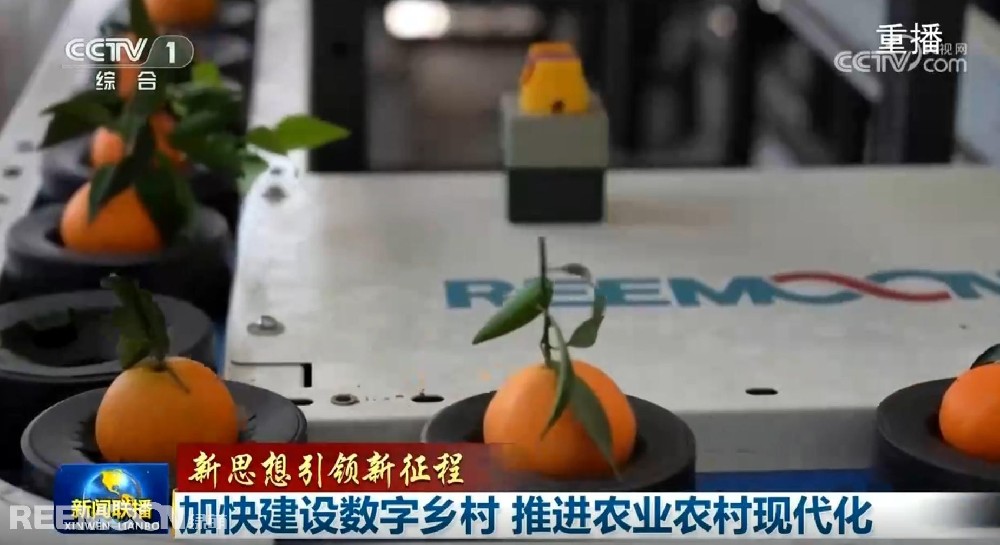 又又又上央視了2025開年見喜綠萌在半月之內(nèi)兩次登上《新聞聯(lián)播》2025年1月1日央視《新聞聯(lián)播》聚焦《甘肅省天水市麥積區(qū)南山花牛蘋果》其中一組畫面中綠萌蘋果雙通道分選線上鏡這條分揀線對蘋果的大小、色澤、瑕疵、糖度、霉心等指標(biāo)進(jìn)行精準(zhǔn)檢測分級助推花牛蘋果做大做強(qiáng)助力果農(nóng)增收致富10